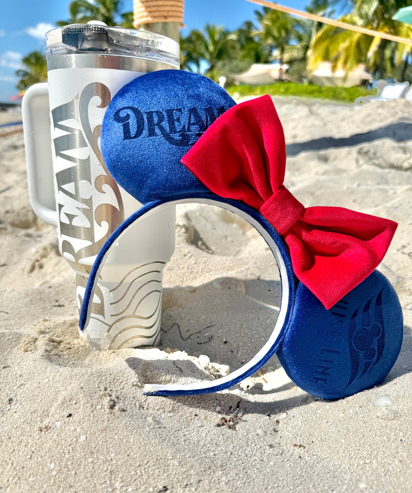 Cruise Line Engraved Velvet Mouse Ears