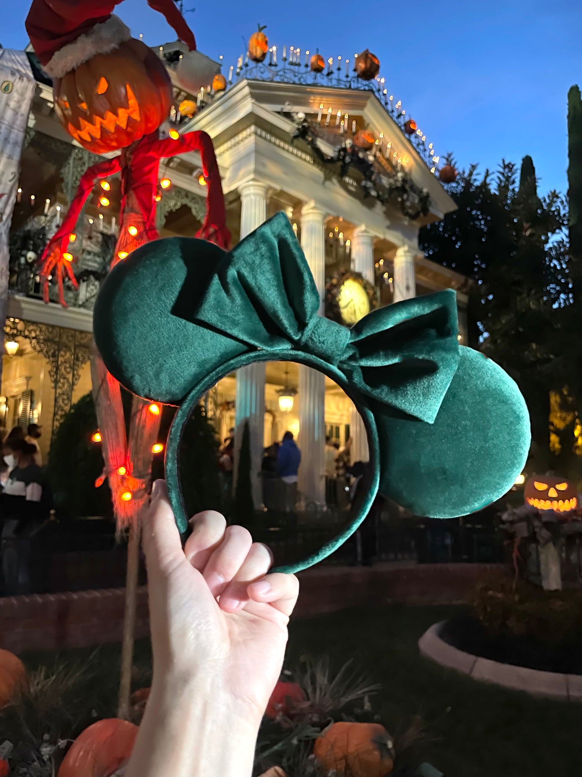 forest micro velvet mouse ears